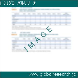 グローバルリサーチ調査レポートのイメージ
